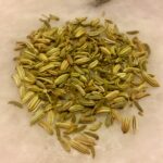 Fenchel