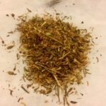 Johanniskraut (Hypericum perforatum)