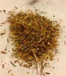 Johanniskraut (Hypericum perforatum)